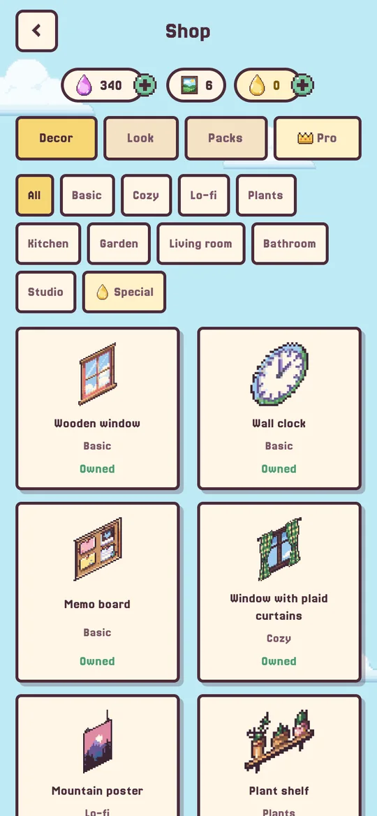 Shop screen with decorations.
