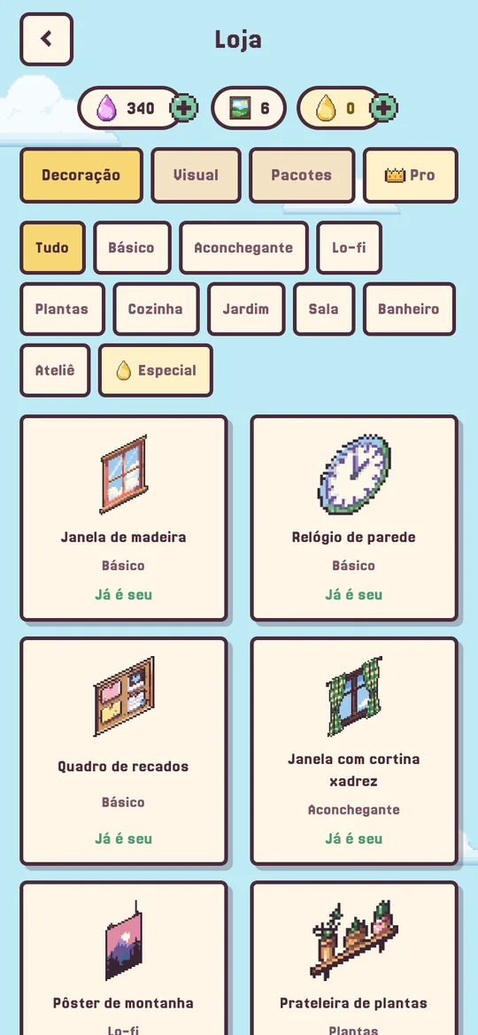 Tela da Loja com decorações.